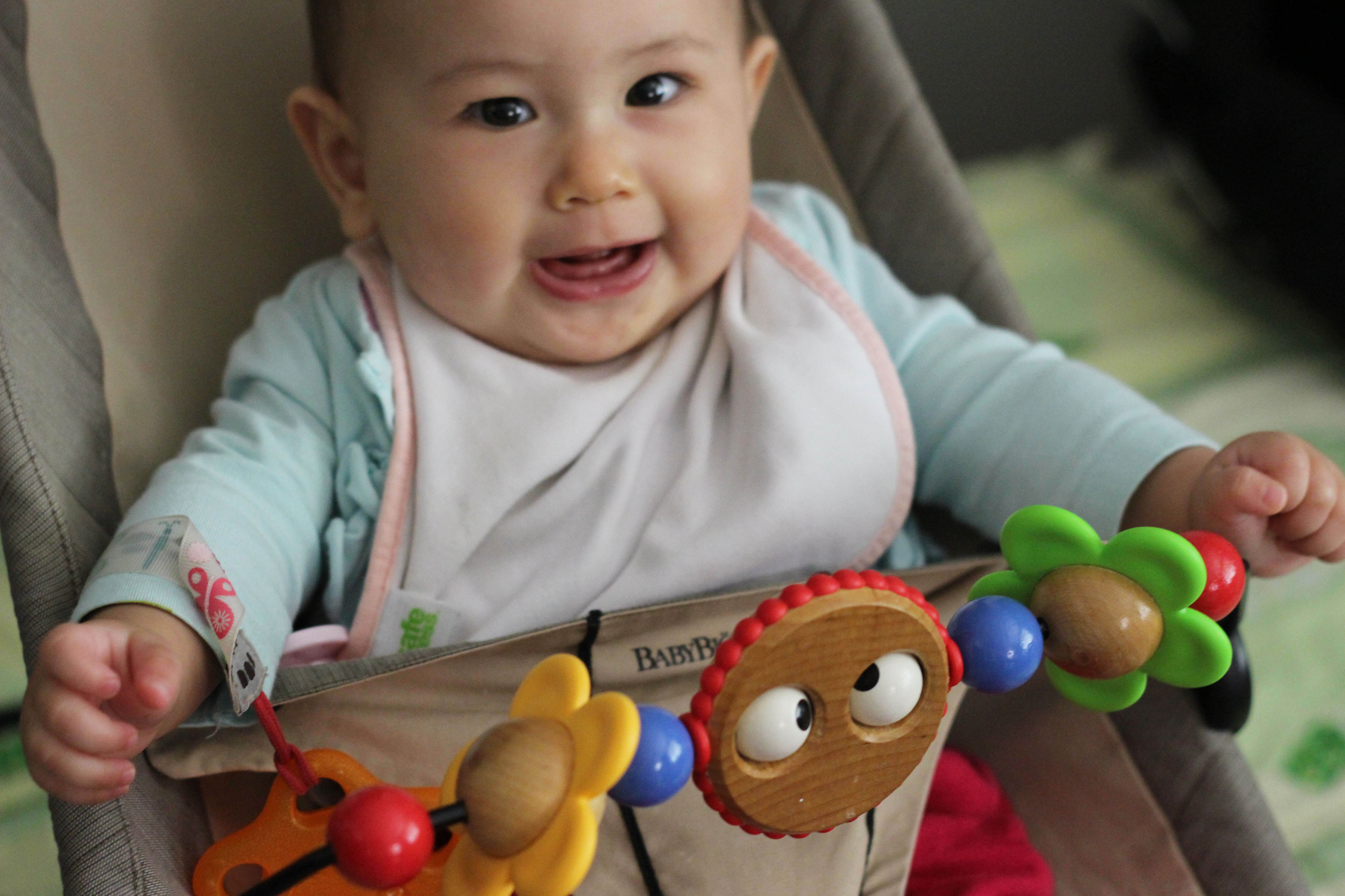 baby bjorn babysitter bouncer